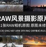 世界杯直播谁快-世界杯直播，谁更快？